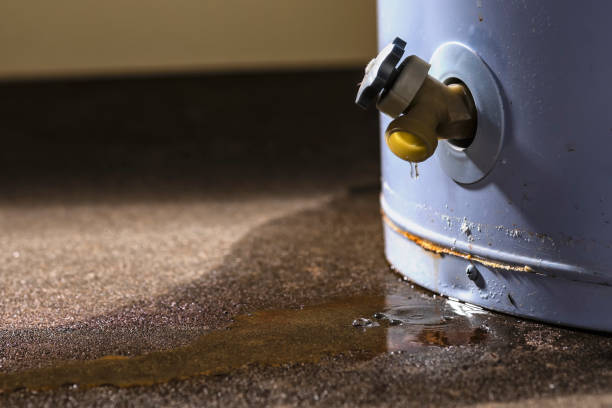 Best Emergency water damage restoration  in Brighton, MI
