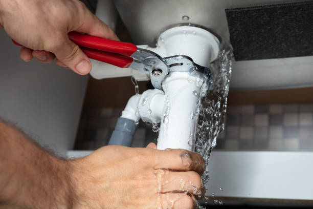 Best Residential water damage restoration  in Brighton, MI