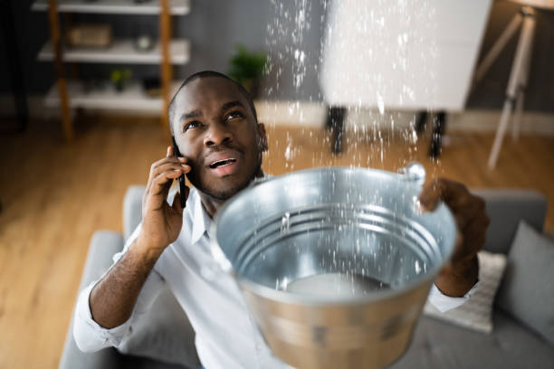 Best Commercial water damage restoration  in Brighton, MI