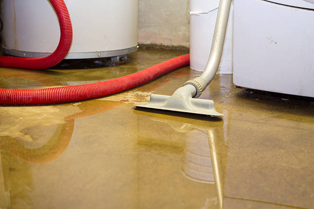 Best Ceiling water damage repair  in Brighton, MI