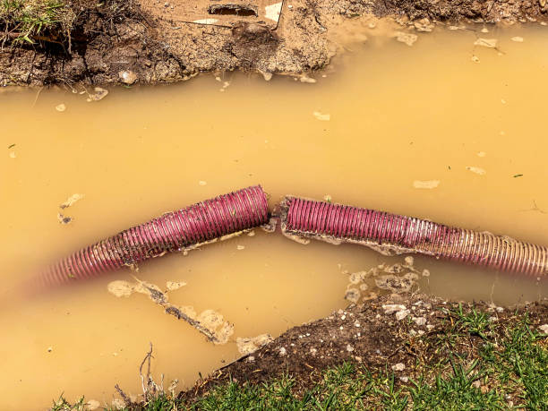 Best Water damage restoration near me  in Brighton, MI